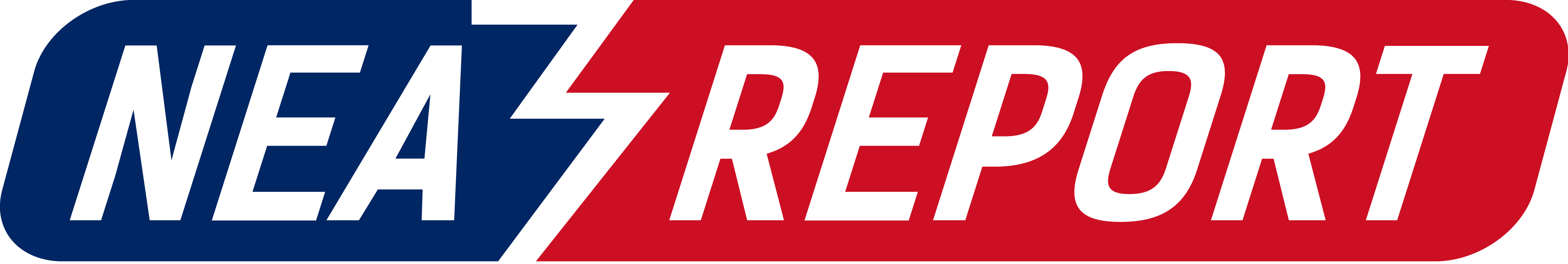 NEA Report