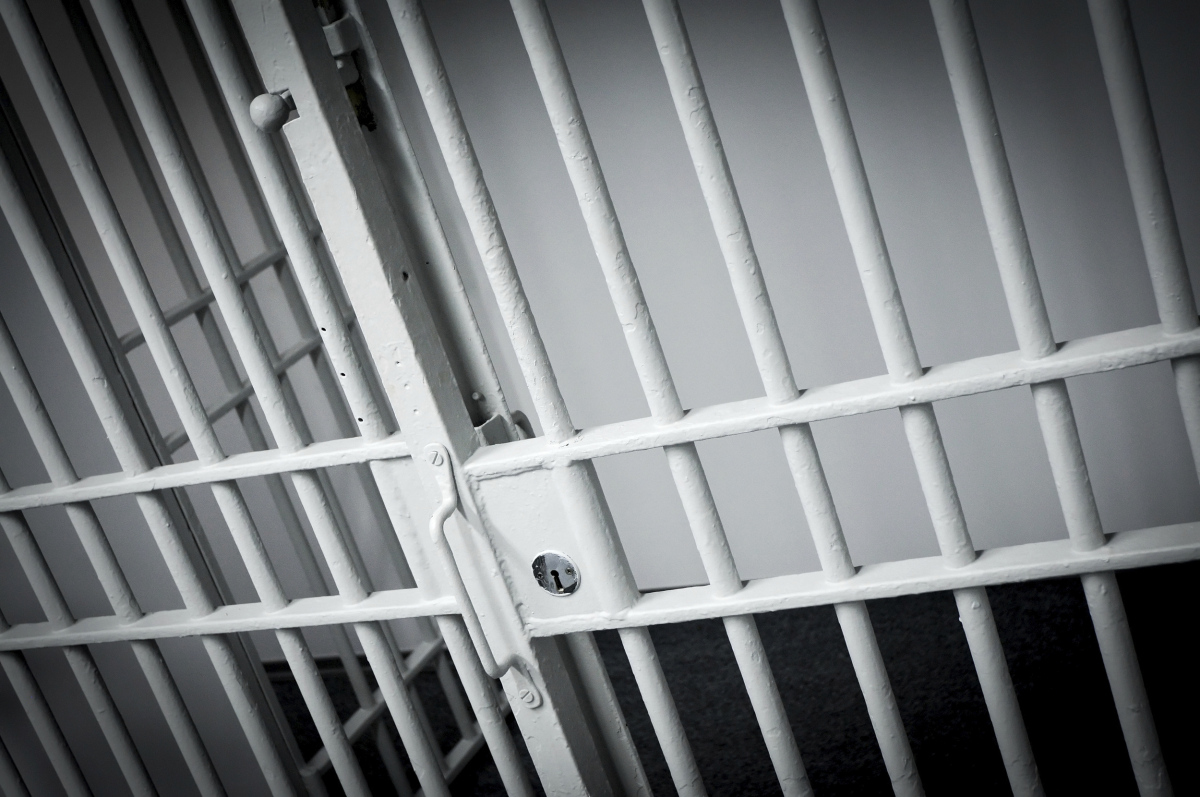 Man Arrested on Multiple Counts of Child Rape in Greene County - NEA Report