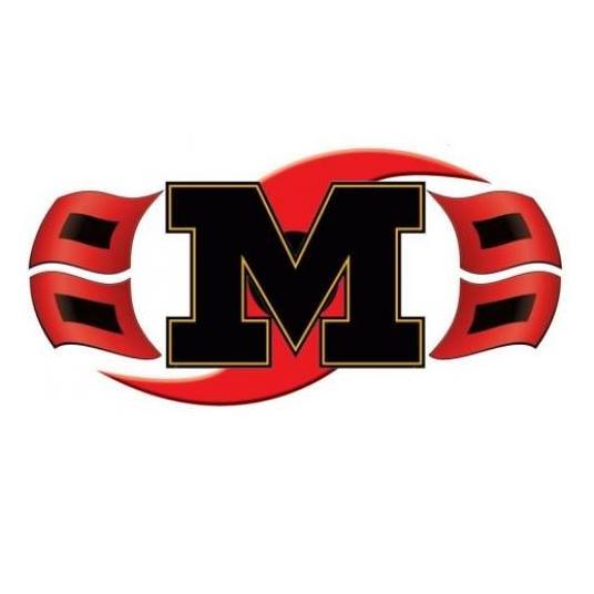 macarthur NEA Report