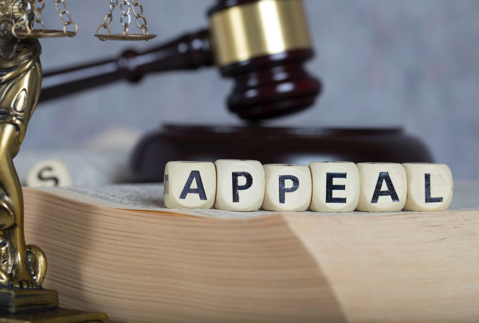 City Files Appeal After Motion to Reconsider is Deemed Denied in ...