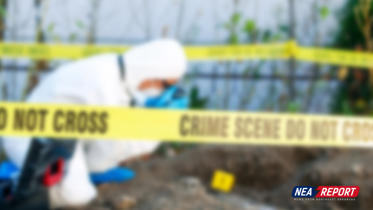 Skeletal Remains Found in Greene County, Investigation Underway - NEA ...