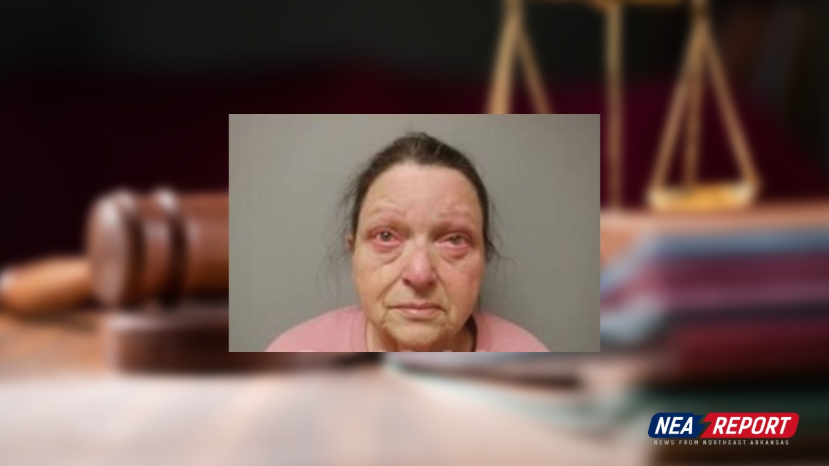 Puppy Mill Owner Pleads Guilty to 1 Count of Aggravated Cruelty to a ...