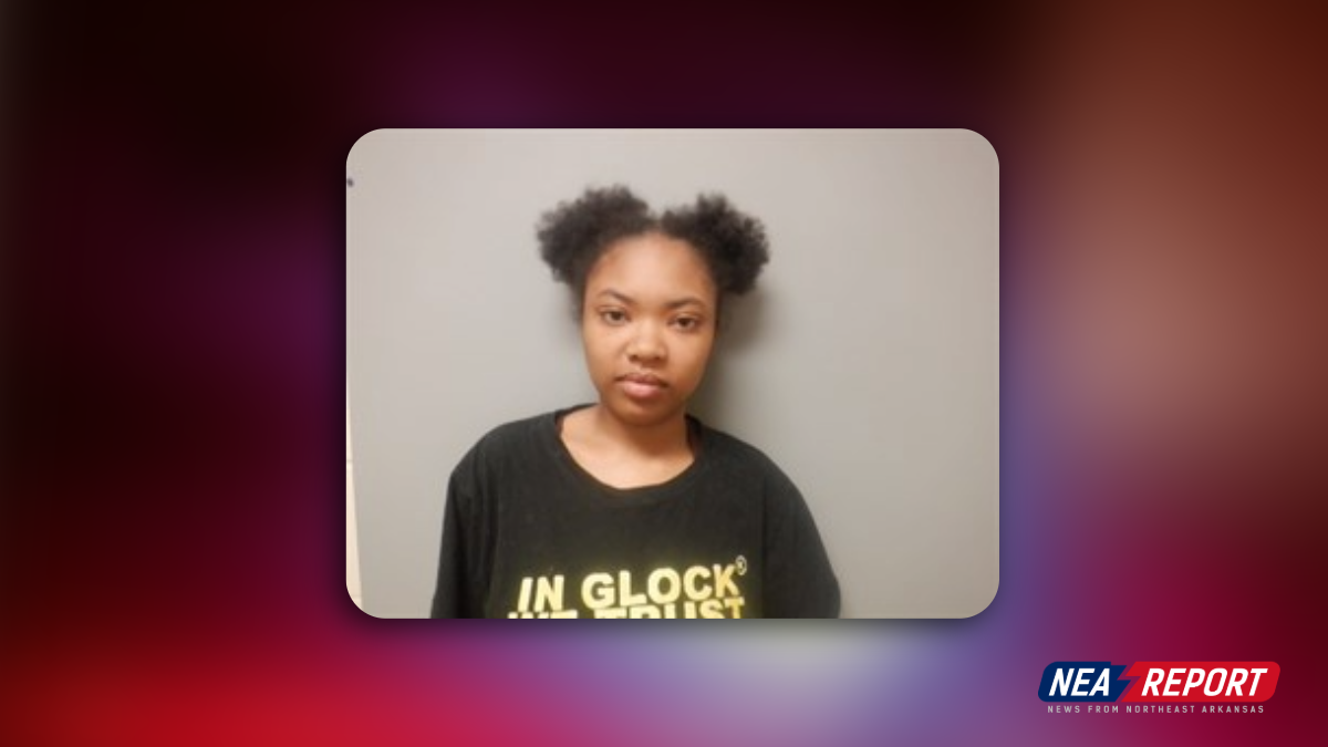 Suspect Found in Nebraska After Jonesboro Stabbing, Police Say - NEA Report