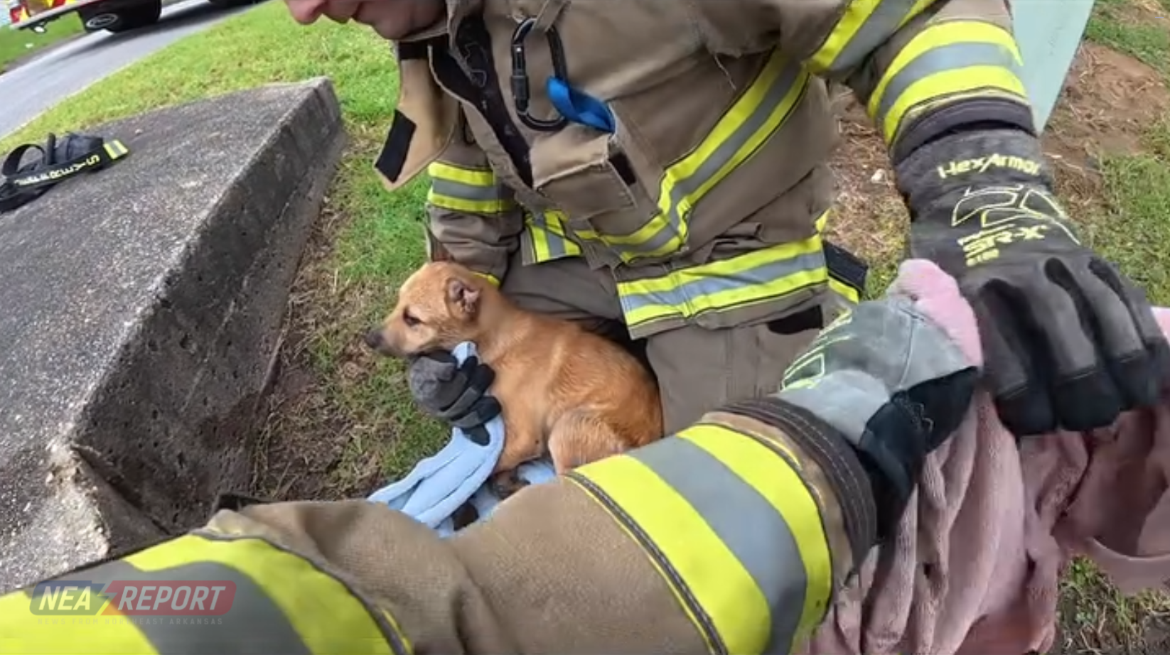 VIDEO: Paragould Firefighters Rescue Puppy From Storm Drain - NEA Report