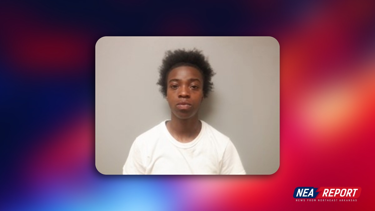 Pizza Delivery Robbery Brings Life-In-Prison Warning In Court
